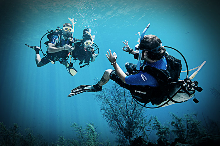 The Padi Divemaster Course