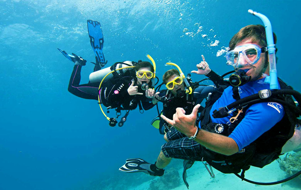 Become A Padi Divemaster!